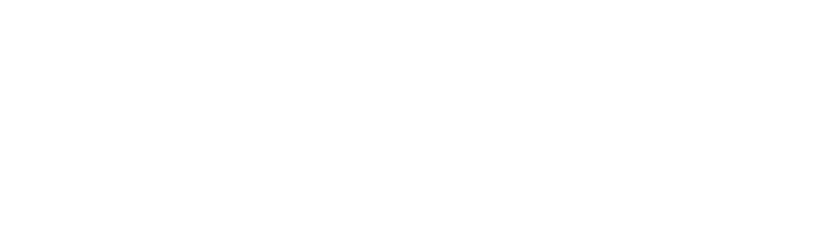 logo_simplifier